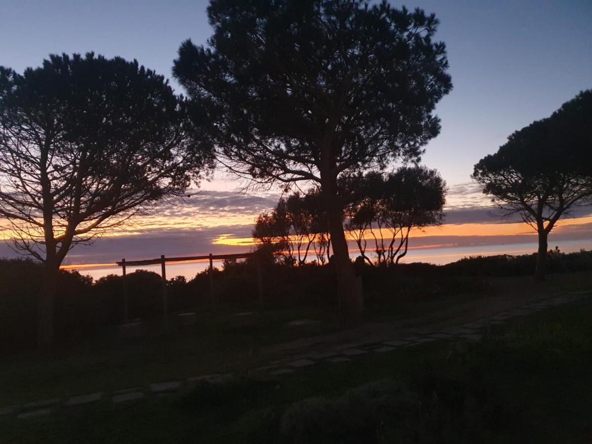 Villetta Porto Corallo Vista Mare Вилапуцу Екстериор снимка